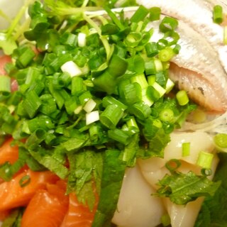 鮭・ホタテ・鮪・鰯の海鮮丼